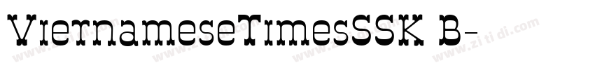 VietnameseTimesSSK B字体转换